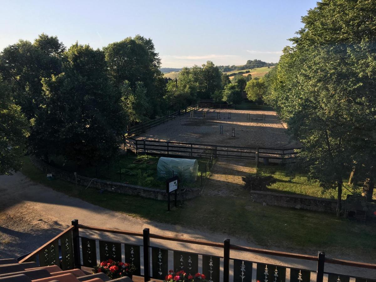 Farma Lama Dom Goscinny Tylicz Exterior foto