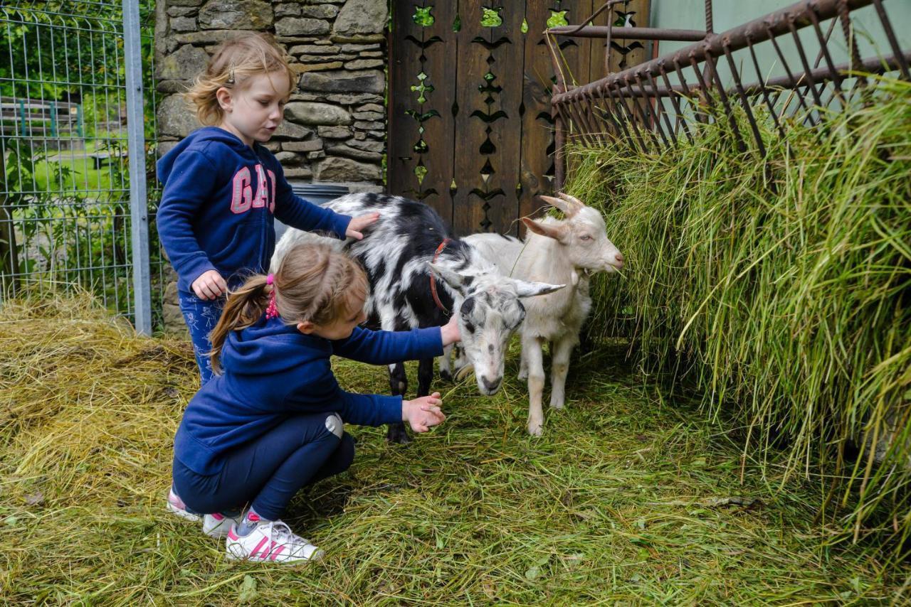 Farma Lama Dom Goscinny Tylicz Exterior foto
